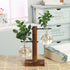 Hydroponic Vintage Vase